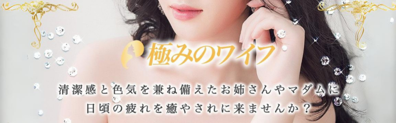 極みのワイフ