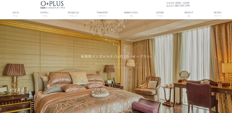 O+PLUS(オープラス)新橋ルーム