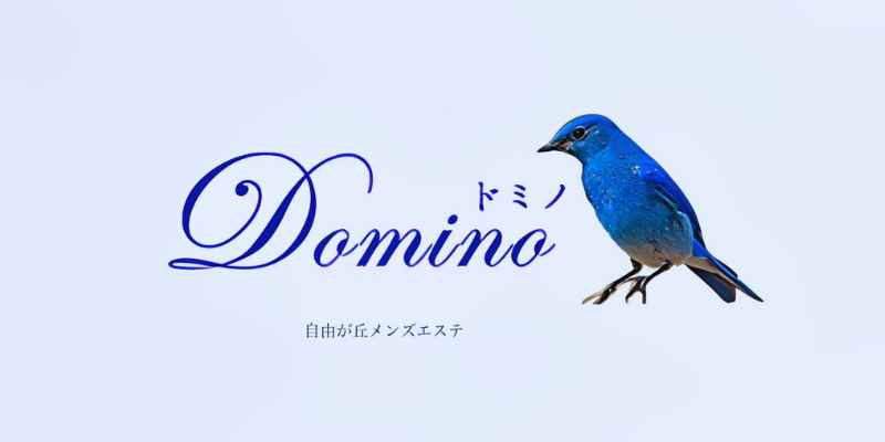 自由が丘ドミノ