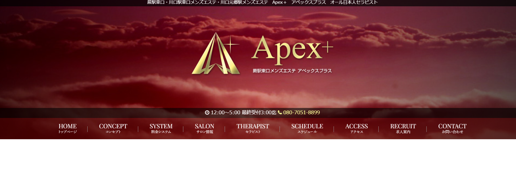 Apex+アペックスプラス
